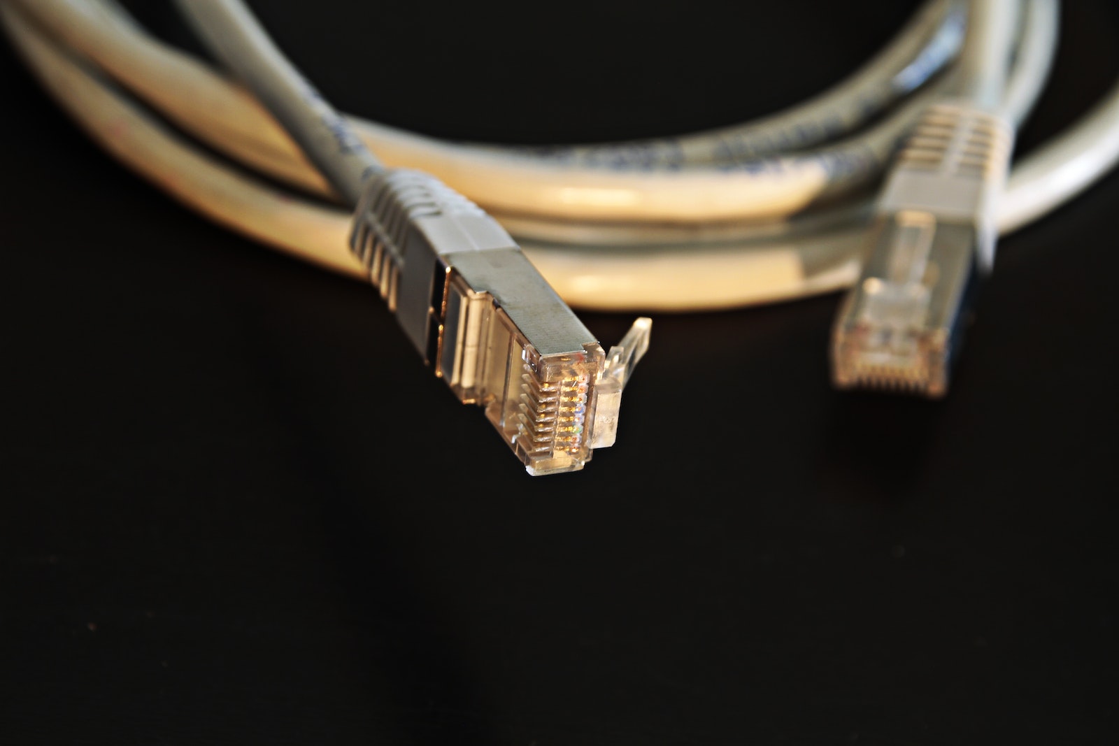 Close Up Photo of Ethernet Cable